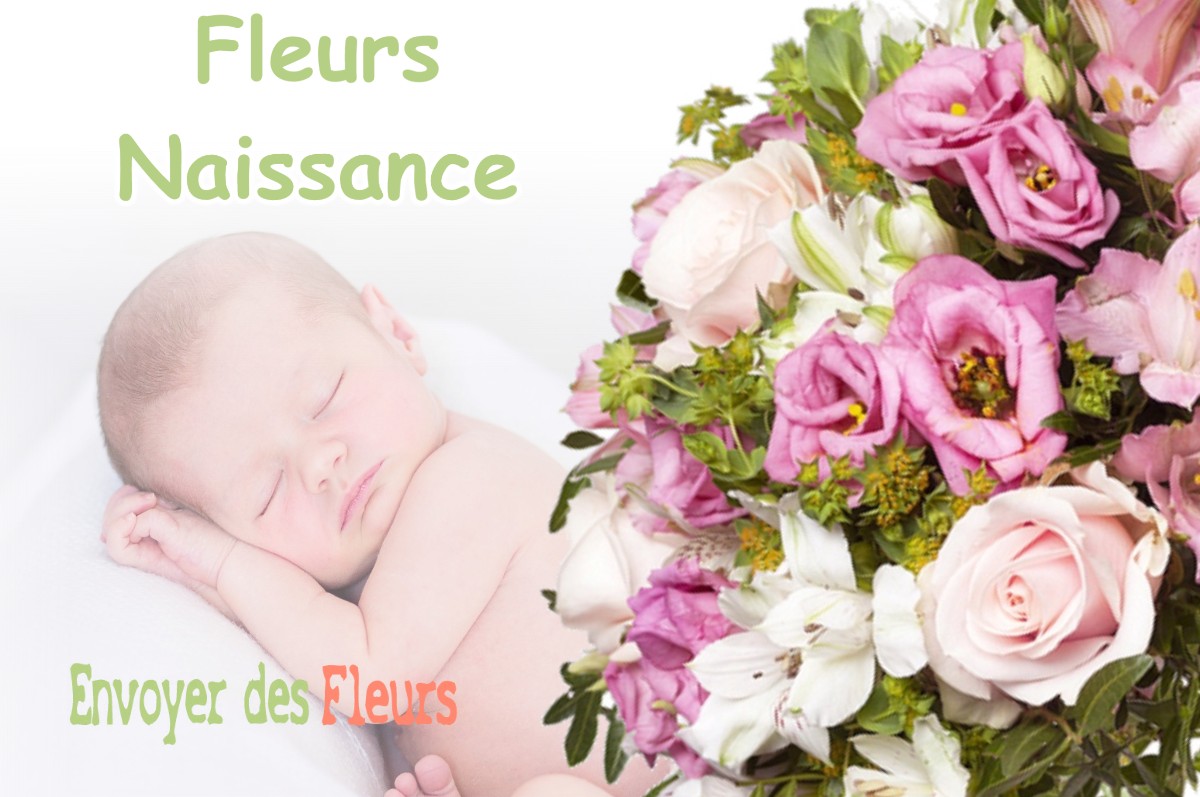 lIVRAISON FLEURS NAISSANCE à EOUX